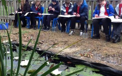 Creativity at Lyngford